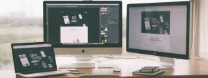 elevated tree creative web development services