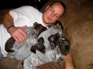 Chris McKinzie gsp litter sleeping
