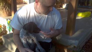 Chris McKinzie gsp pup water