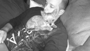 Chris McKinzie mini chorkie