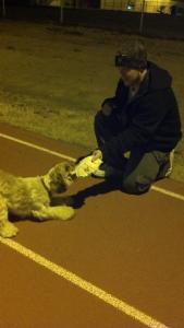 Chris McKinzie cocker spaniel shih tzu
