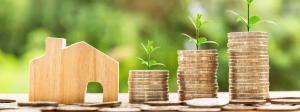affordable web pricing Elevated Tree