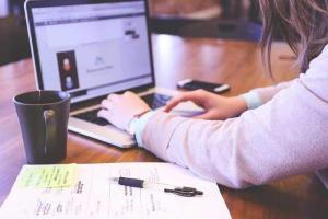 web design pricing packages elevated tree