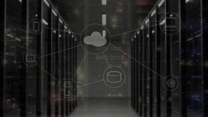 web hosting prices elevated tree