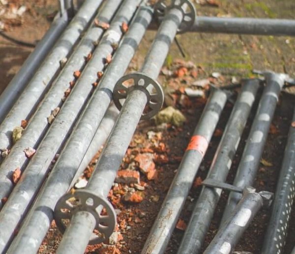 Here's How You Can Protect The Environment On Your Property